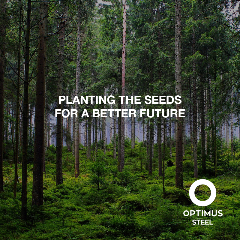 Optimus Steel One Tree Planted Reforestation actions